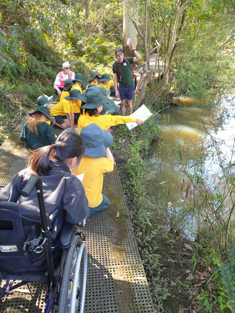 Students in the bush next to a creek